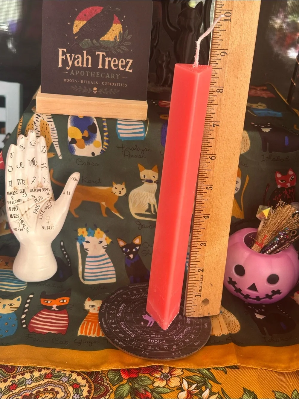 Coral Triangle Candle